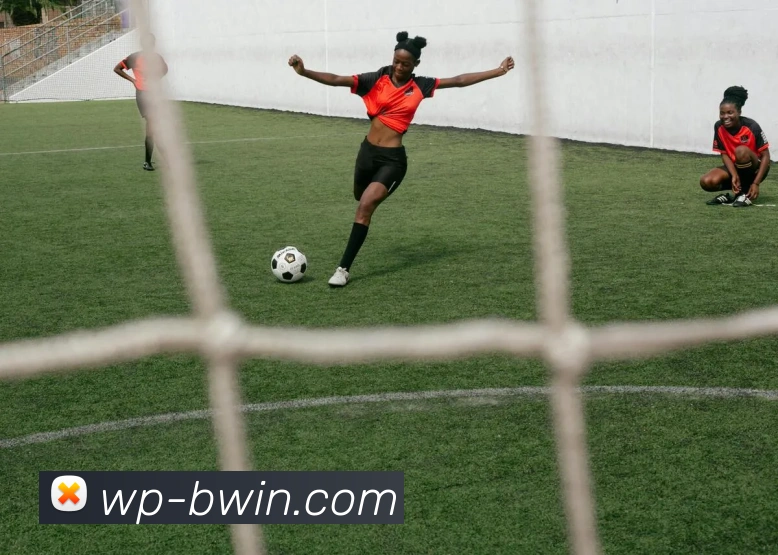 Bwin必赢官网发展历程